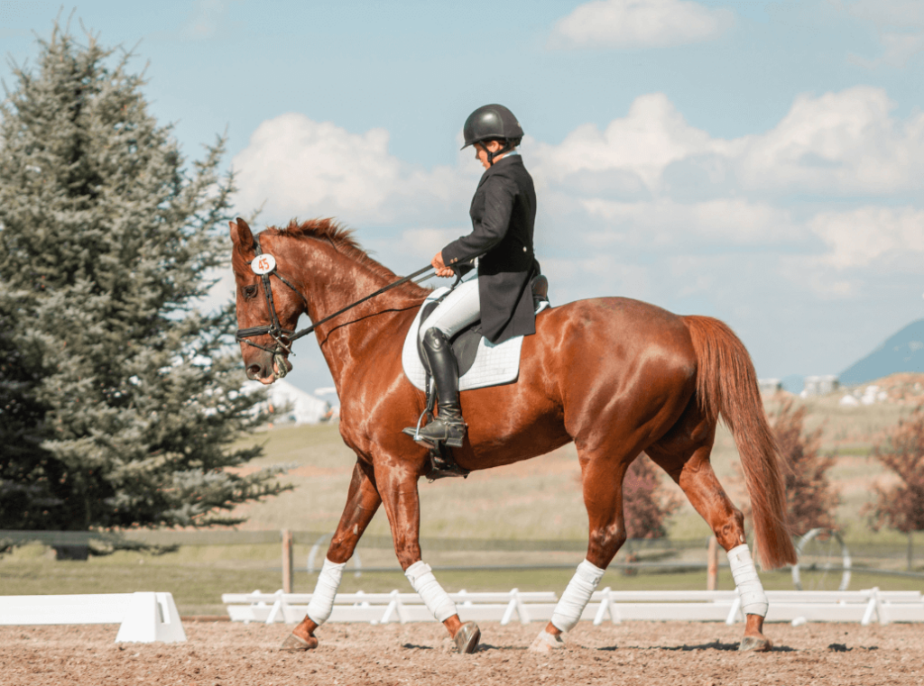 Rider on a brown horse during an equestrian event